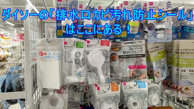 DAISO TーPLATZ綱島店の排水口カビ汚れ防止シールが陳列してある画像に「ダイソーの排水口カビ汚れ防止シールはここにある！」という文字を記載したアイキャッチ画像