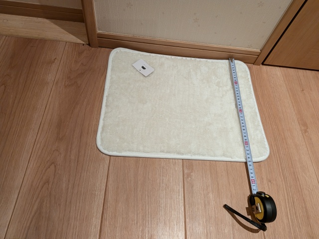 オクラオクラが購入したセリアのミニマットの縦のサイズを測っている画像
